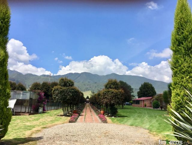 Finca Las Margaritas - Finca en Tabio, Cundinamarca